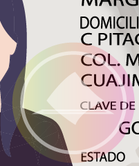 elemento opticamente variable Credencial de Elector