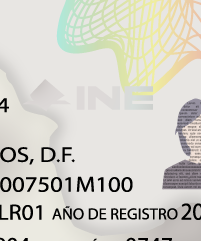 elemento táctil Credencial de Elector