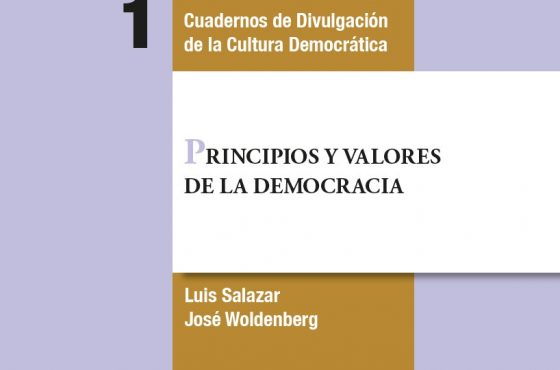 1 Principios valores democracia