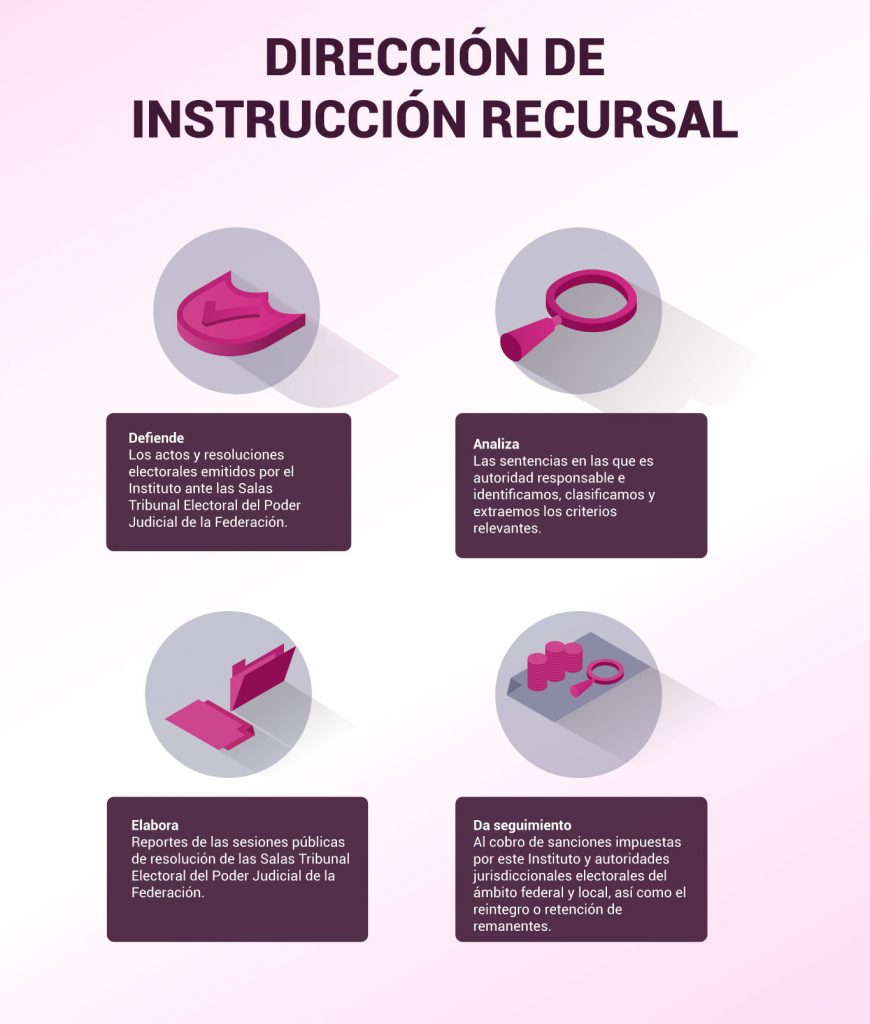 Infografía Dirección de Instrucción Recursal