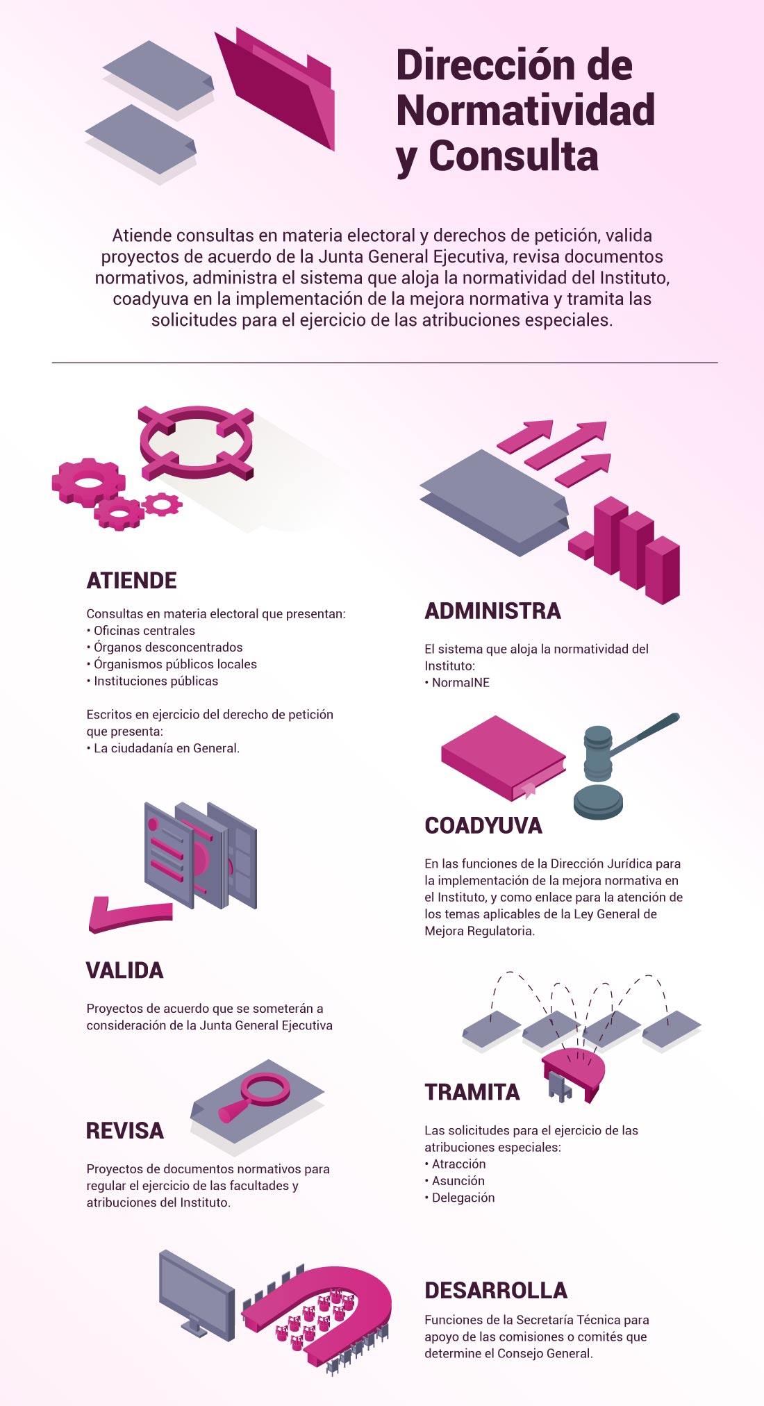 Infografìa Dirección de Normatividad y Consulta