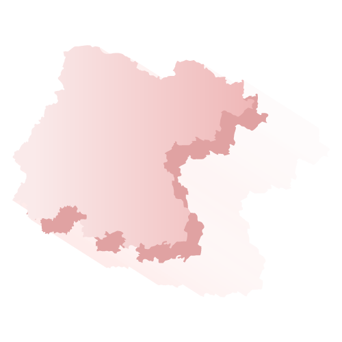 Elección Guanajuato 2018