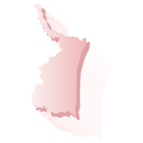 Elección Tamaulipas 2018