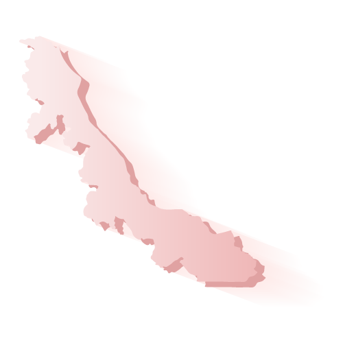Elección Veracruz 2018