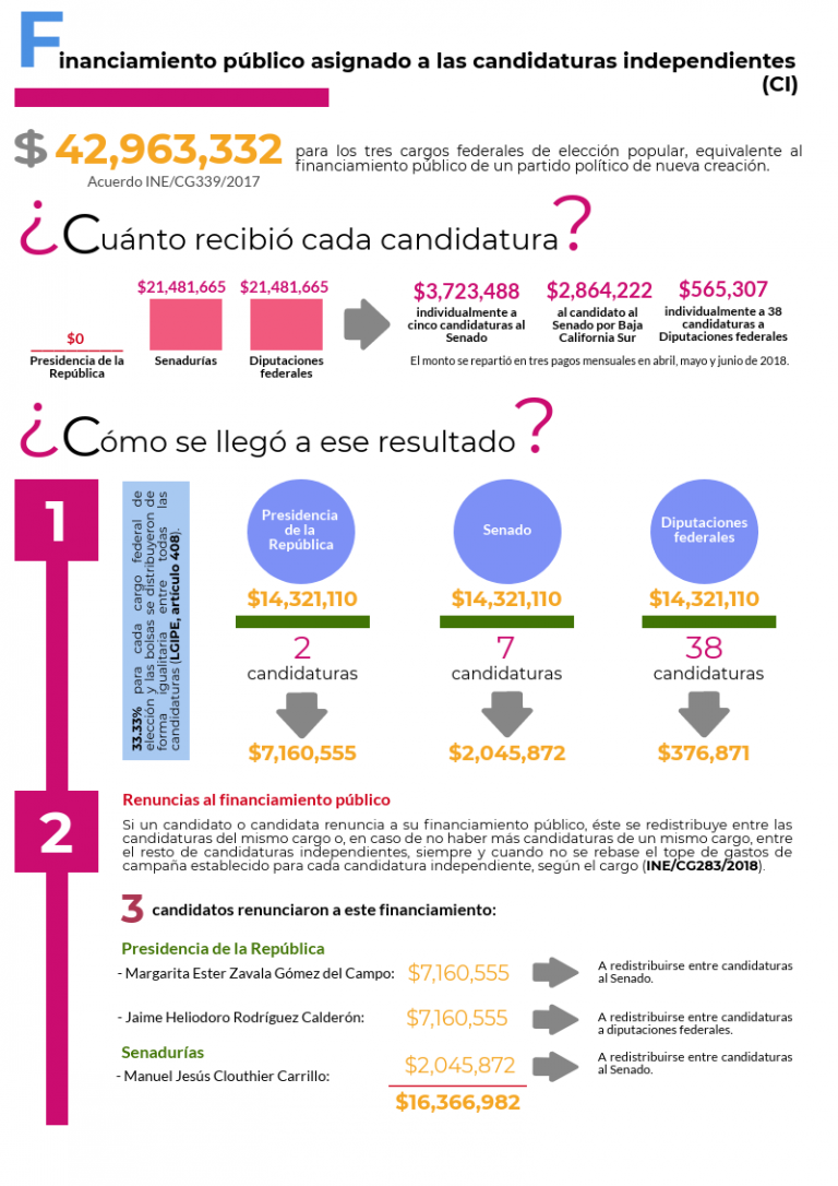 Infografía Financiamiento público