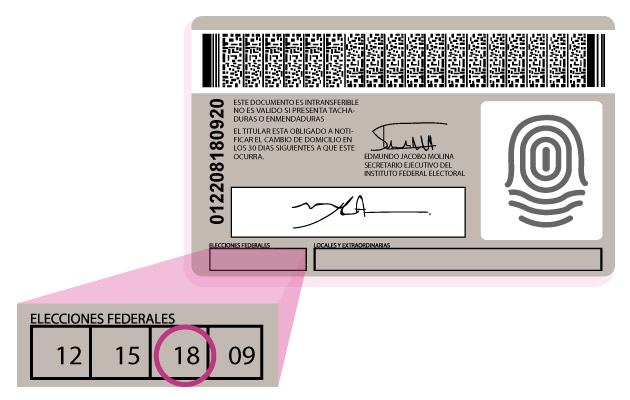 Renovación de Credencial para Votar 18