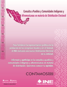 Consulta a pueblos y comunidades indígenas y afromexicanas en materia de distritación electoral