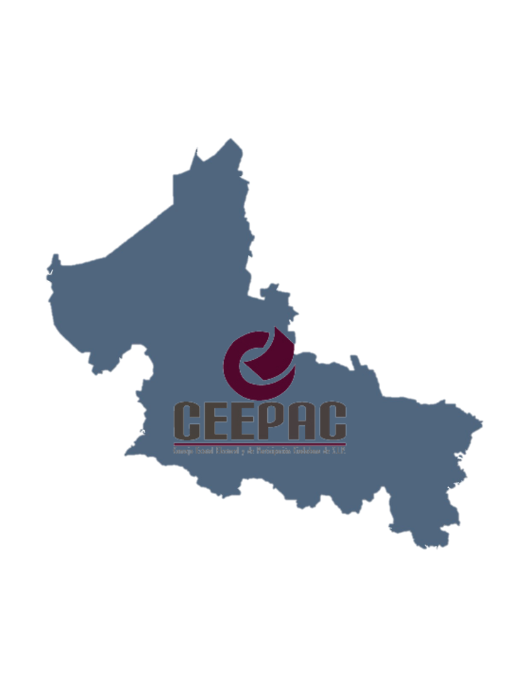 Consejo Estatal Electoral San Luis Potosí