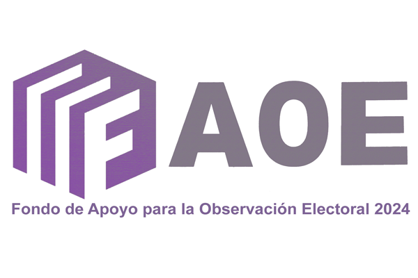 Fondo apoyo observación electoral 2024