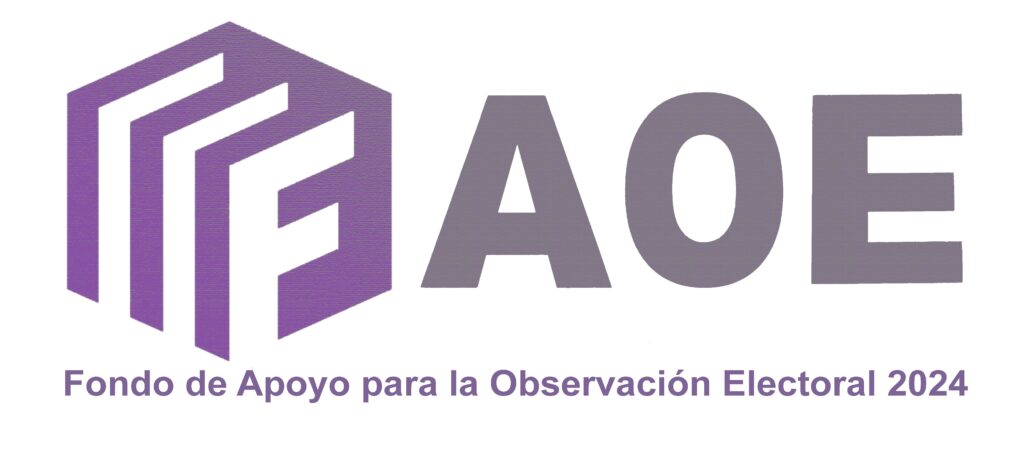 Fondo apoyo observación electoral 2024