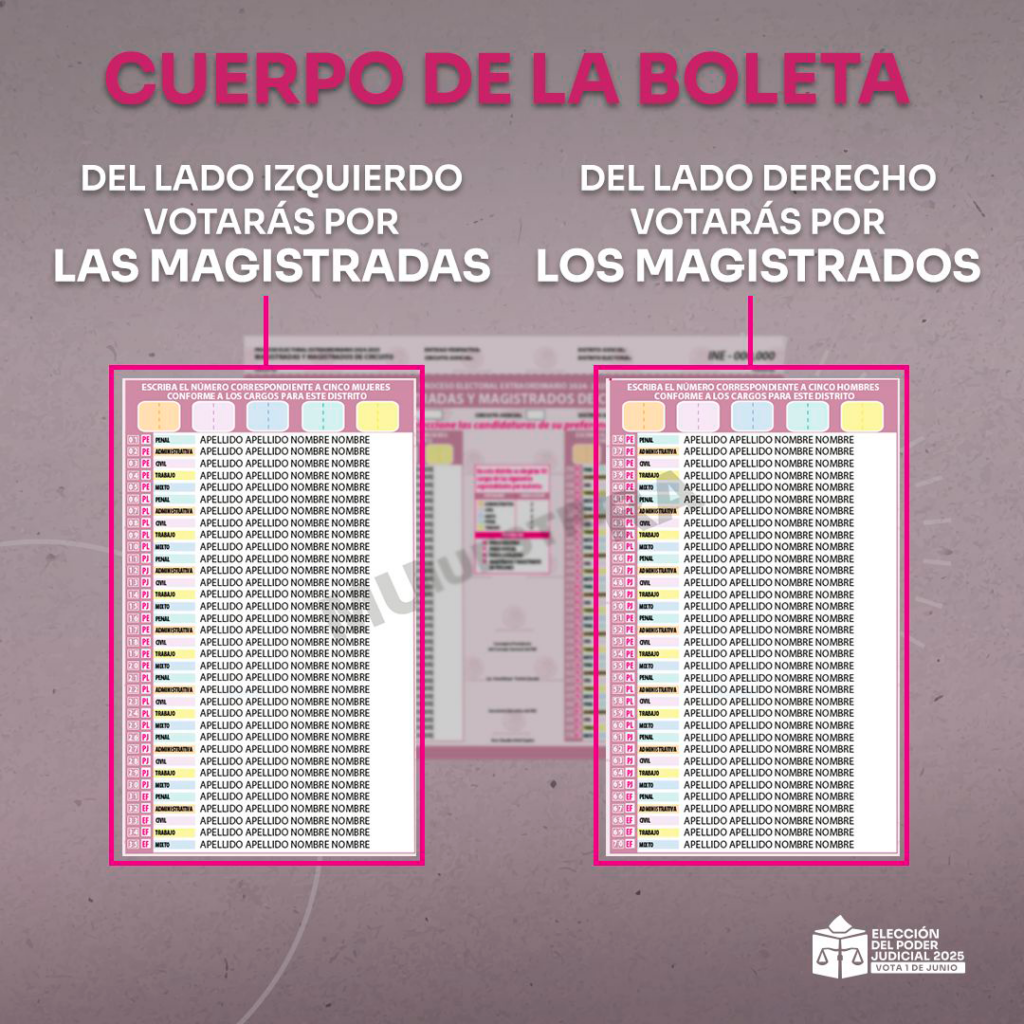 Cuerpo boleta Magistraturas de Circuito