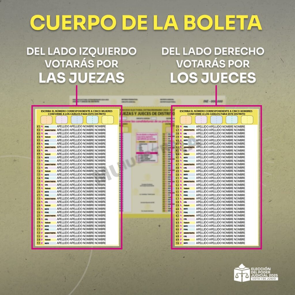 Elementos Boletas Juezas y Jueces de Distrito
