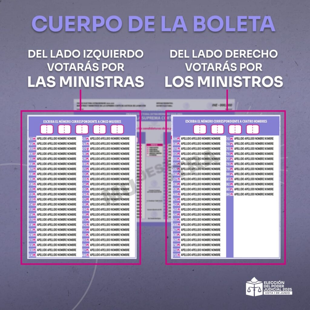 Elementos cuerpo de la boleta Ministros SCJN
