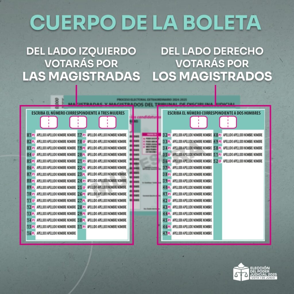 Cuerpo de la boleta Magistraturas del Tribunal de Disciplina Judicial