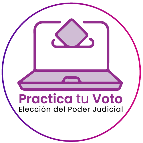 Practica tu voto