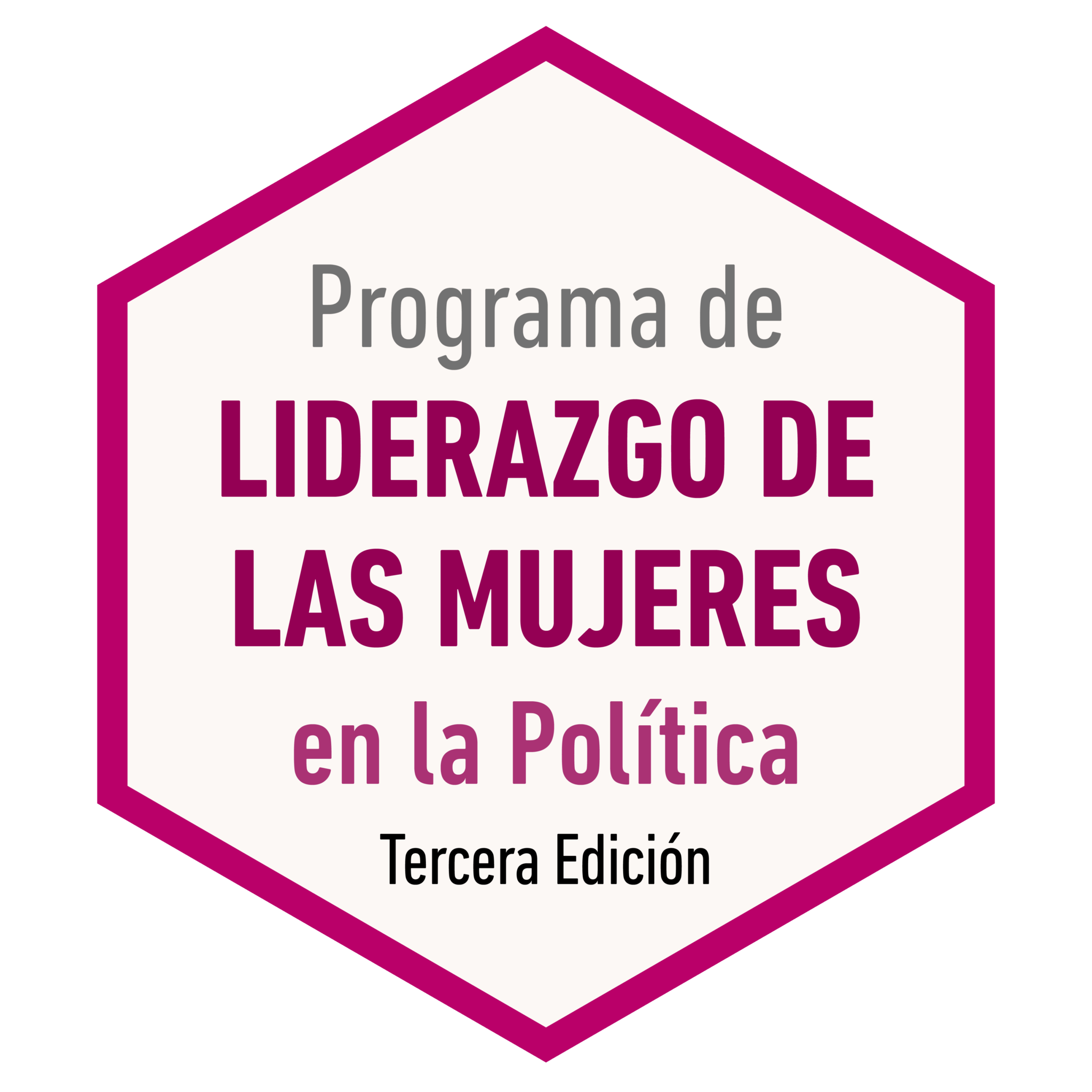 Programa de Liderazgo de las Mujeres en Política Tercera edición ...