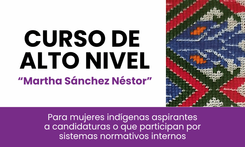 Banner Curso para mujeres ind&iacute;genas aspirantes a candidaturas