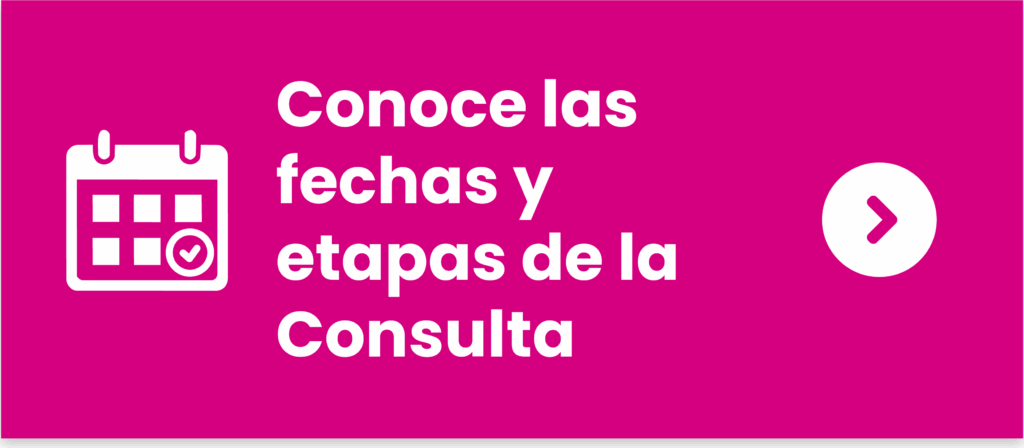 Conoce las fechas y etapas de la consulta
