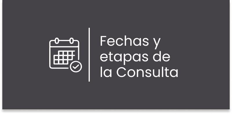 Fechas y etapas de la consulta