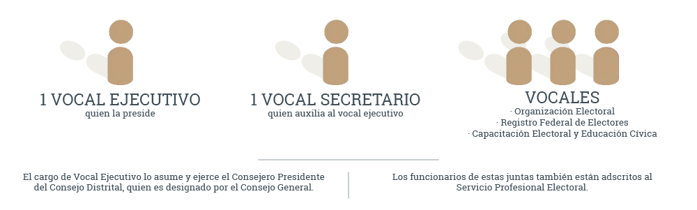 Organigrama Juntas Distritales