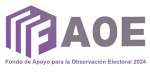 Fondo apoyo observación electoral 2024