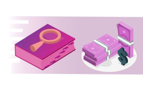 financiamiento público