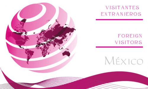 Personas Visitantes Extranjeras. Proceso Electoral Federal y Procesos Locales Concurrentes 2023-2024